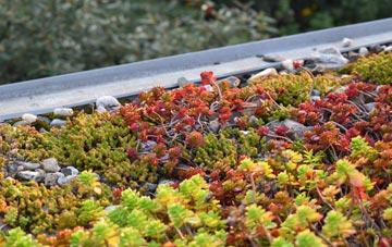 the cost of Great Durnford green roof installation