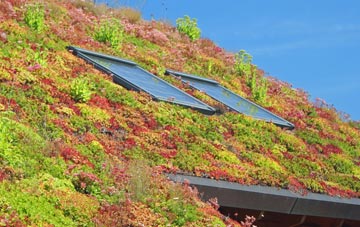 Great Durnford living roof systems