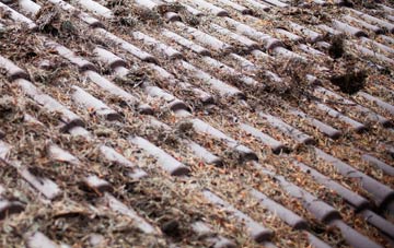 Great Durnford roof cleaning companies