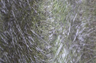 Great Durnford fibreglass roof work